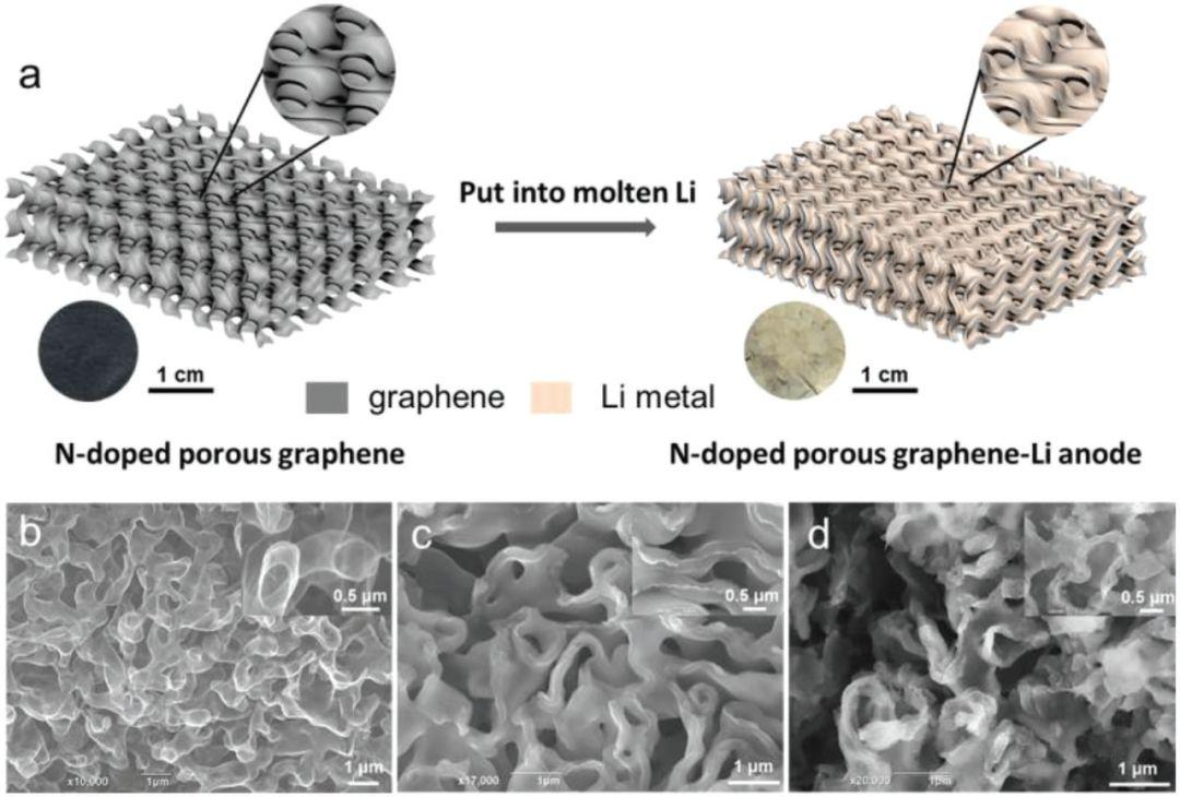AM：亲锂3D多孔纳米氮掺杂石墨烯实现锂金属超高倍率