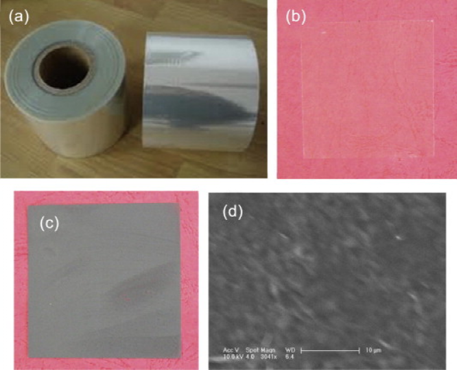 清华大学何向明教授JPS：塑料集流体，助力锂离子电池更上一层楼