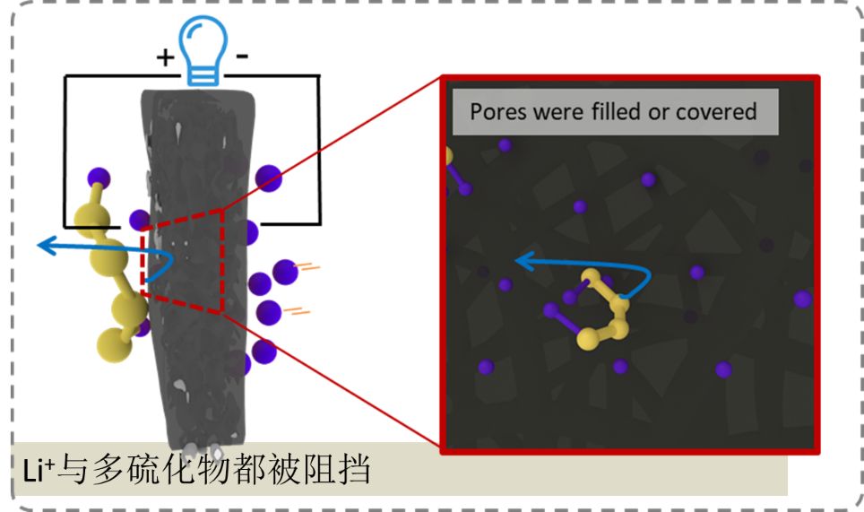 重庆大学魏子栋团队在锂硫电池隔膜取得突破