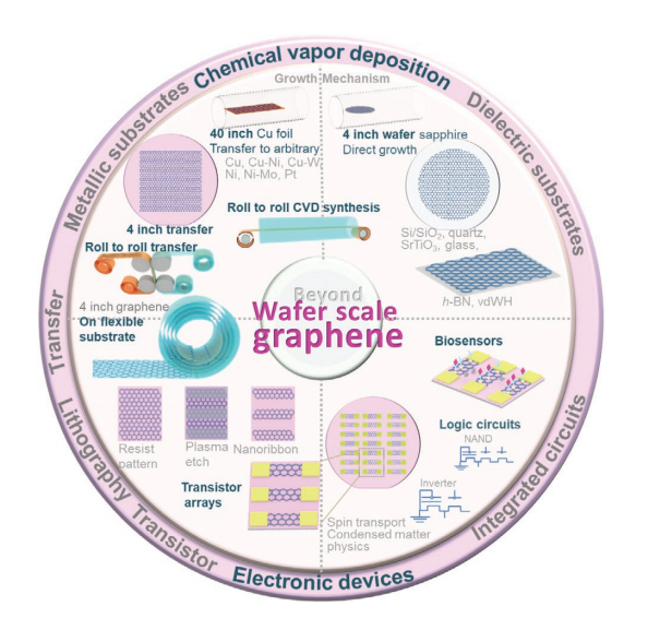 济南大学逄金波-刘宏Adv. Mater. Technol.：晶圆级石墨烯的化学气相沉积法合成及其电子器件应用