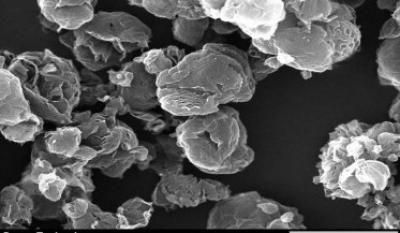 Grapheneall's SEM image of GO