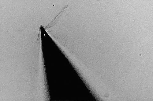 科学家做出最薄石墨烯“折纸”