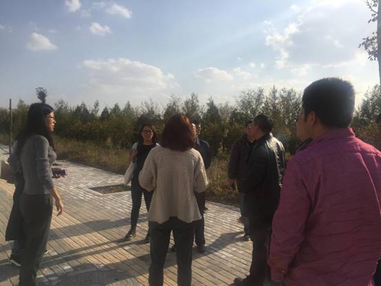 银川市发改委会同市直相关部门为石墨烯项目进行落地选址