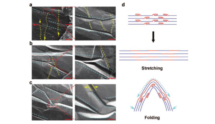 浙大制造出新型石墨烯膜材料：柔性好，导热强 解决世界难题