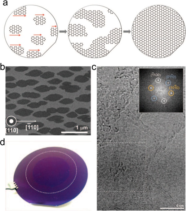 刘忠范&彭海琳Chem. Rev.综述：化学气相沉积制备石墨烯–理想与现实