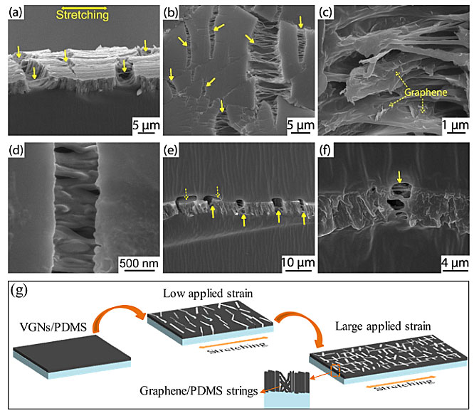 “迷宫”式垂直石墨烯网络，构建超灵敏可拉伸应变传感器