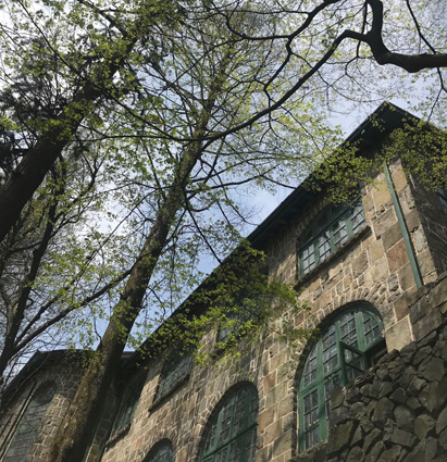 揽青山绿水入怀，携青春梦想前行 第六元素员工莫干山二日游活动圆满结束