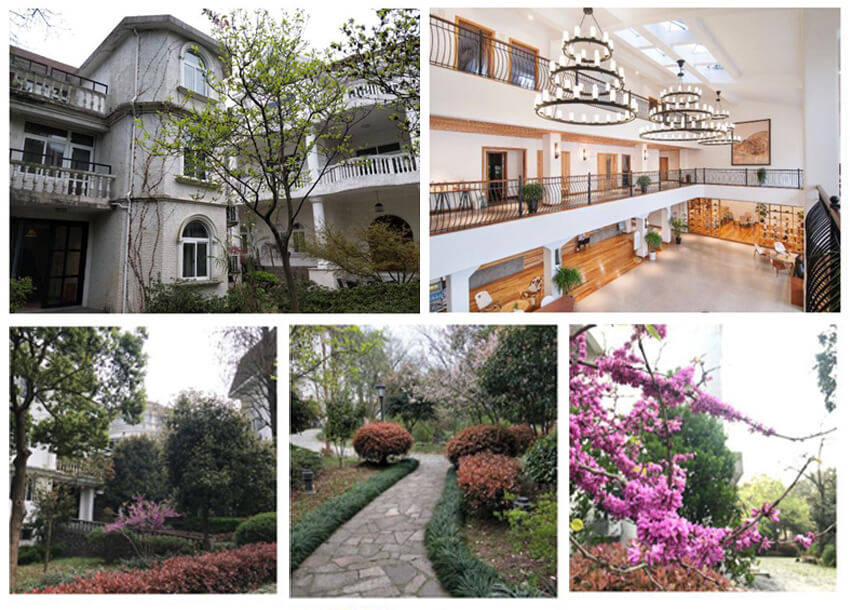 揽青山绿水入怀，携青春梦想前行 第六元素员工莫干山二日游活动圆满结束