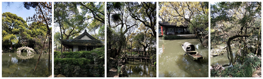 揽青山绿水入怀，携青春梦想前行 第六元素员工莫干山二日游活动圆满结束