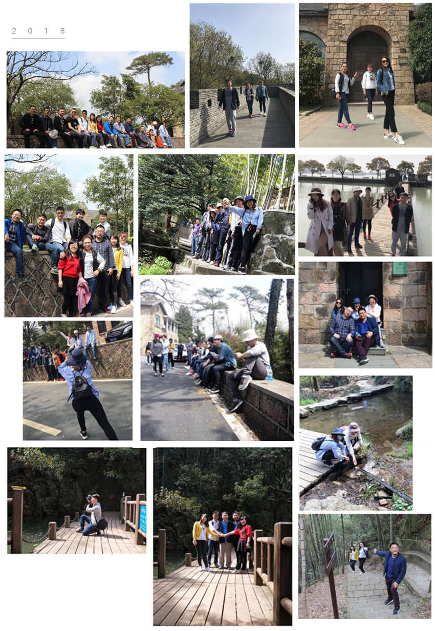 揽青山绿水入怀，携青春梦想前行 第六元素员工莫干山二日游活动圆满结束