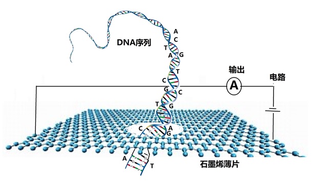 石墨烯传奇-之八