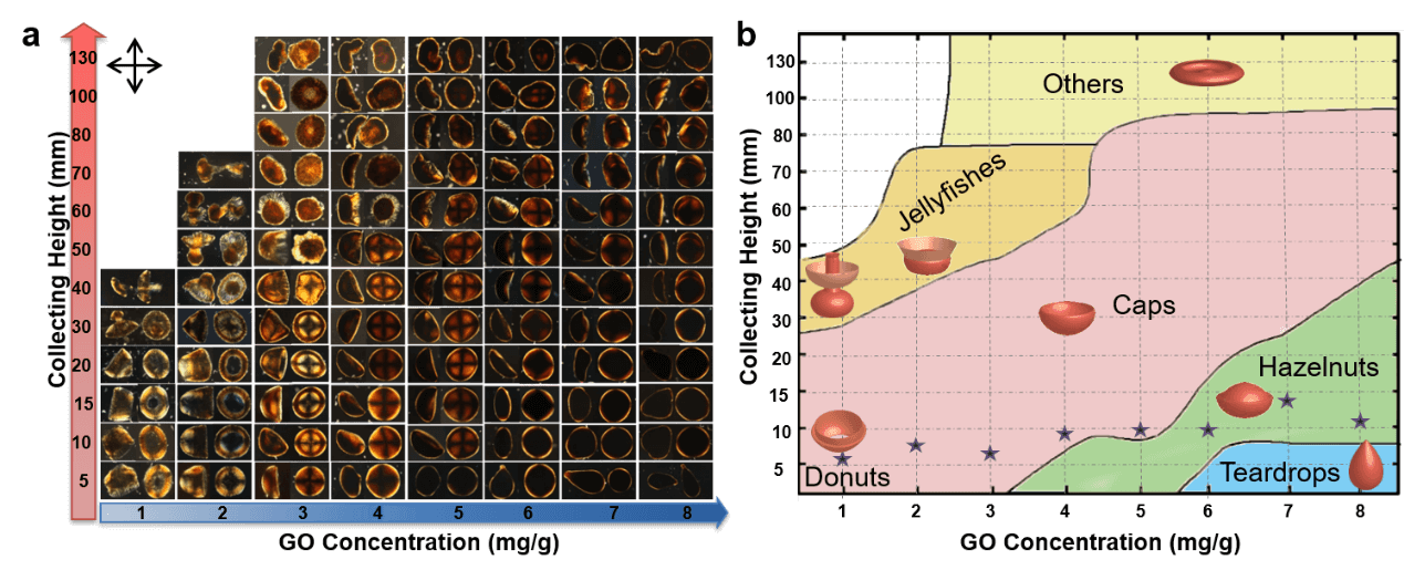 浙江大学高超教授团队在氧化石墨烯液晶的非球形组装取得新进展