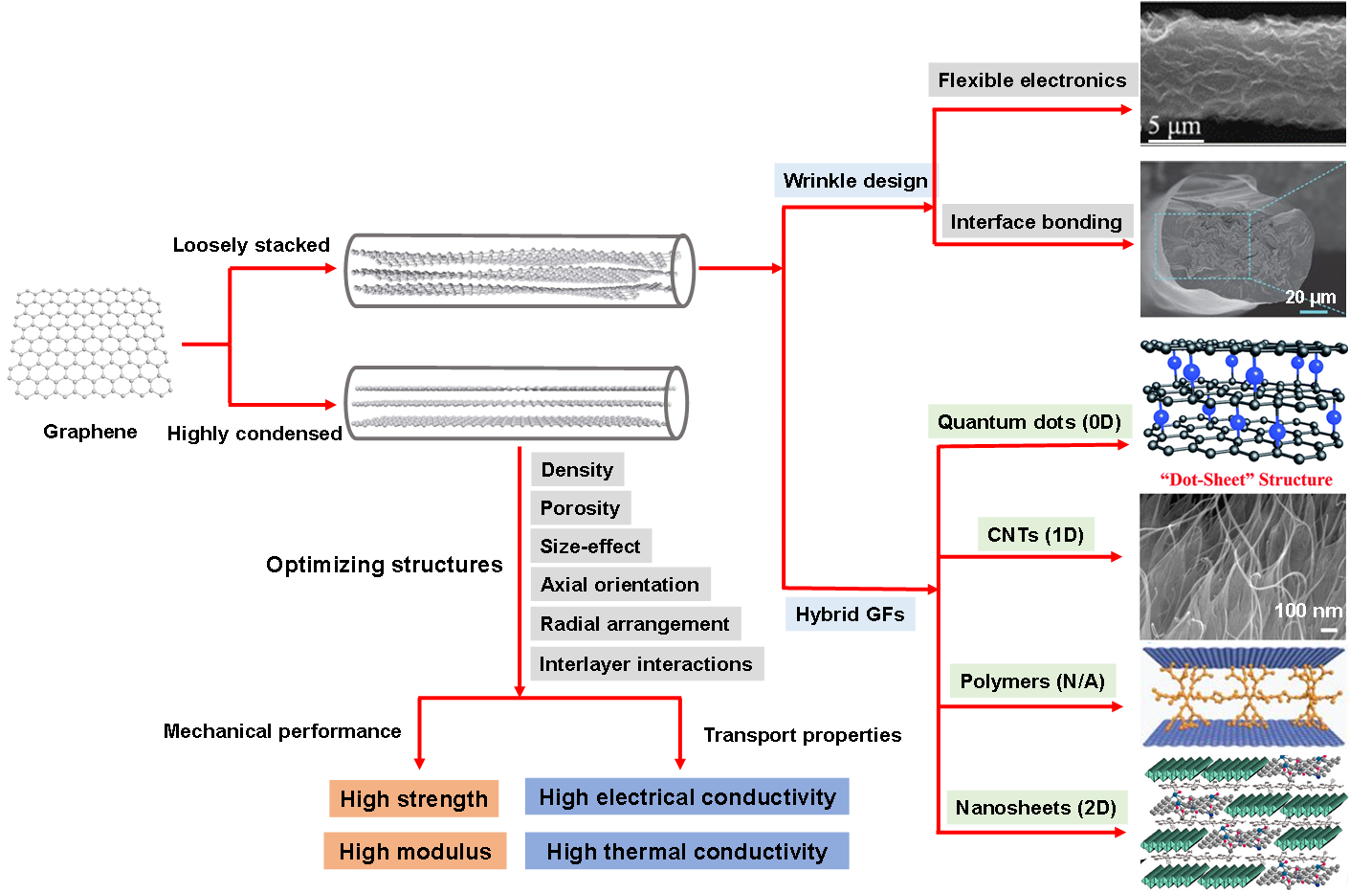 浙江大学高超教授团队发表AM综述：石墨烯纤维的诞生、发展与展望