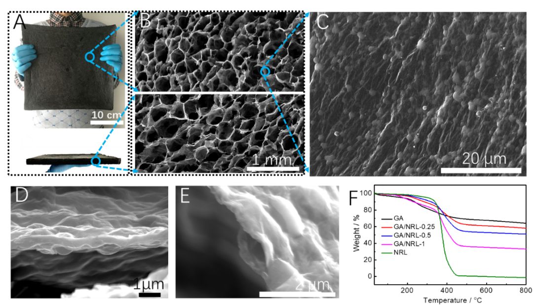 青岛科技大学张建明教授课题组：兼具韧性、超轻和粘附水性能的仿玫瑰花表面的石墨烯气凝胶