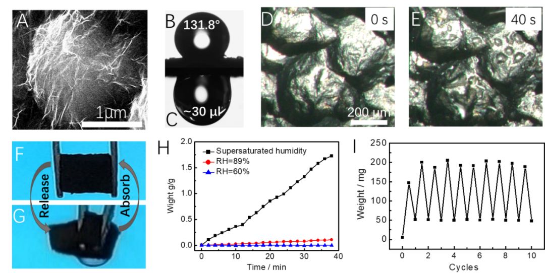 青岛科技大学张建明教授课题组：兼具韧性、超轻和粘附水性能的仿玫瑰花表面的石墨烯气凝胶