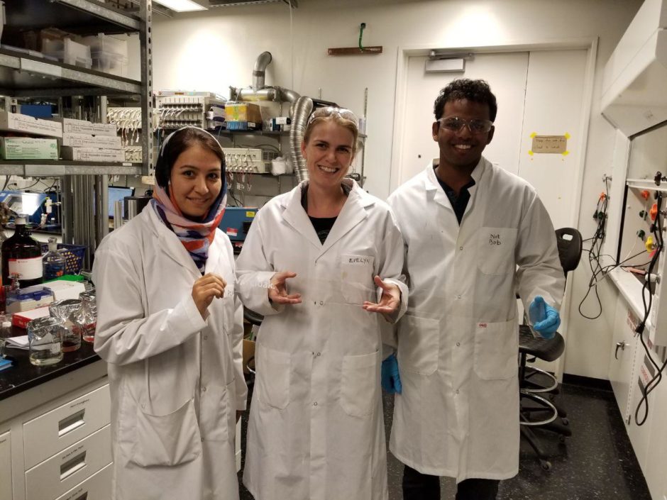 Evercloak：伊夫林-艾伦对重要初创企业的追求