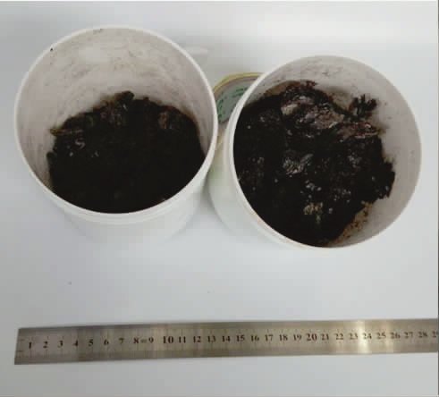 【启物明维】神奇的碳纳米材料——石墨烯