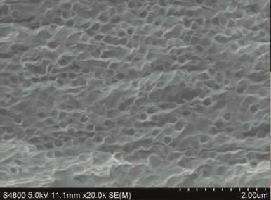 【启物明维】神奇的碳纳米材料——石墨烯