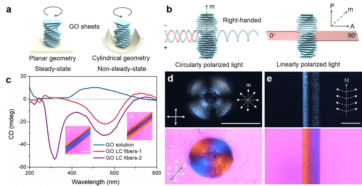 武培怡教授团队《Adv. Sci.》：同步纳流体整流技术制备手性反转的GO液晶纤维