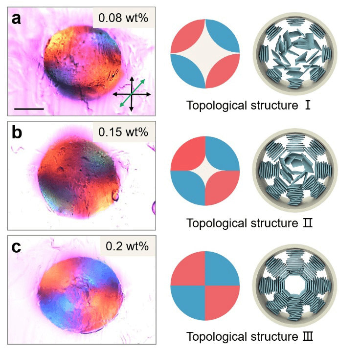 武培怡教授团队《Adv. Sci.》：同步纳流体整流技术制备手性反转的GO液晶纤维