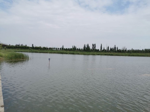 呼和浩特市生态环境局组织调研组赴银川市开展石墨烯光催化治理工程调研工作