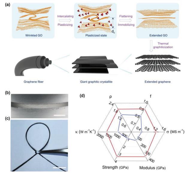 浙大高超、许震团队《AFM》：插层增塑纺丝法在高结晶度石墨烯纤维制备方面取得新进展