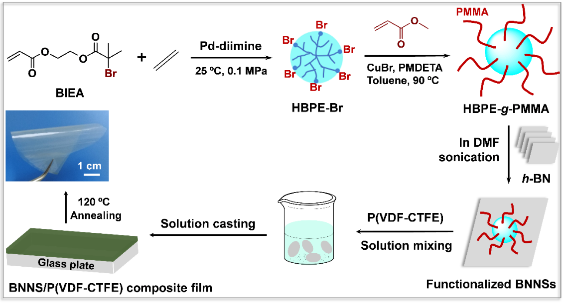 浙江工业大学徐立新/叶会见课题组：利用多功能型超支化聚乙烯制备高储能密度聚合物基介电复合材料