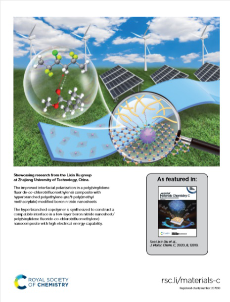 浙江工业大学徐立新/叶会见课题组：利用多功能型超支化聚乙烯制备高储能密度聚合物基介电复合材料