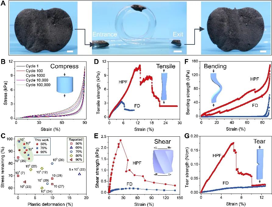 浙大高超教授团队《Sci. Adv. 》：常温发泡法连续制备石墨烯气凝胶及其AI应用
