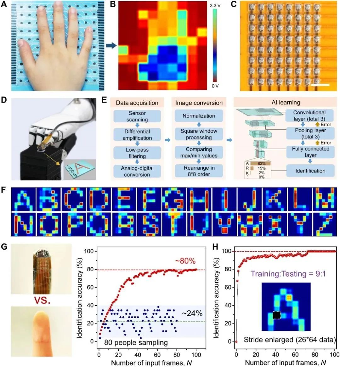浙大高超教授团队《Sci. Adv. 》：常温发泡法连续制备石墨烯气凝胶及其AI应用