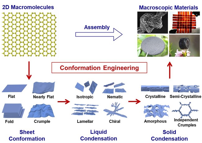 浙江大学许震、高超团队：以氧化石墨烯为例初绘二维大分子构象工程蓝图