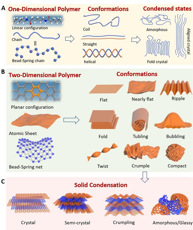 浙江大学许震、高超团队：以氧化石墨烯为例初绘二维大分子构象工程蓝图
