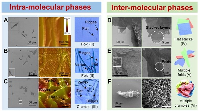 浙江大学许震、高超团队：以氧化石墨烯为例初绘二维大分子构象工程蓝图