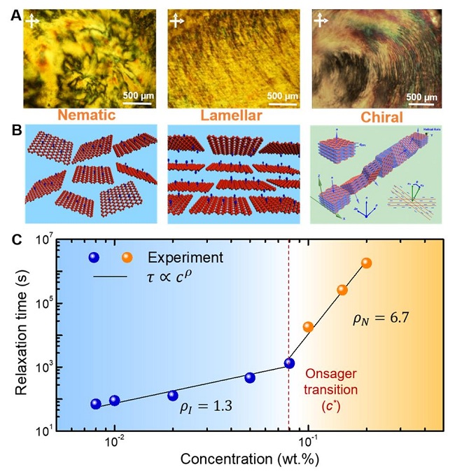 浙江大学许震、高超团队：以氧化石墨烯为例初绘二维大分子构象工程蓝图