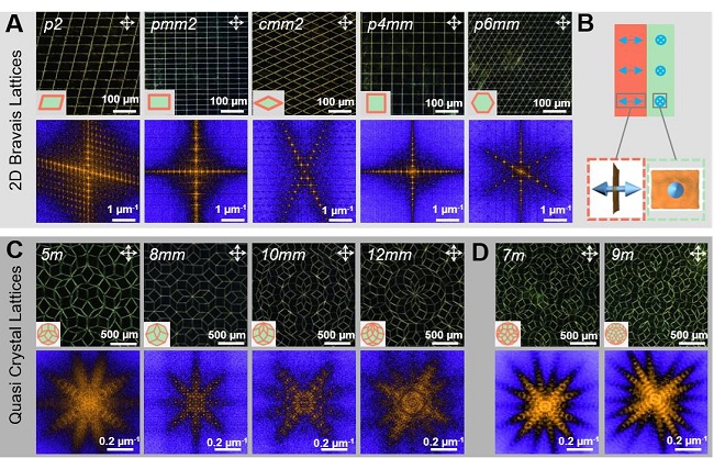浙江大学许震、高超团队：以氧化石墨烯为例初绘二维大分子构象工程蓝图