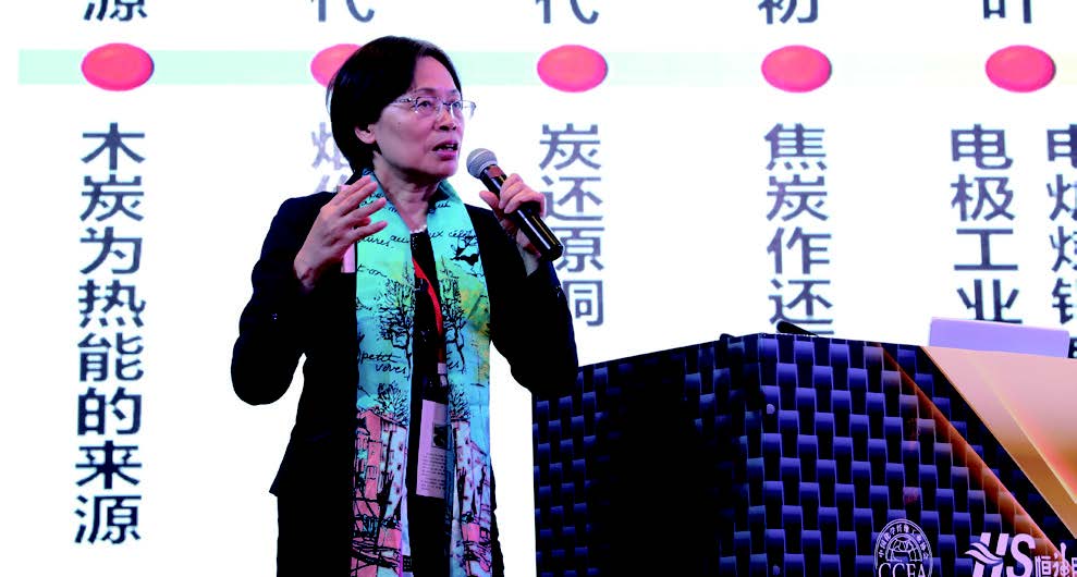 中国 · 丹阳碳纤维及复合材料产业链创新发展论坛召开