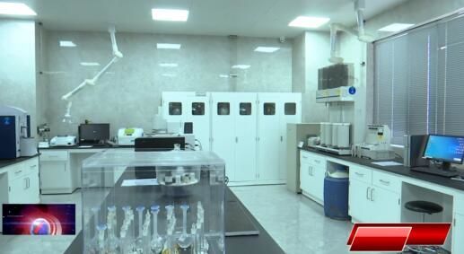 “凤回巢 才相聚”系列报道（2）陈武峰：开荒“石墨烯”转化科研成果