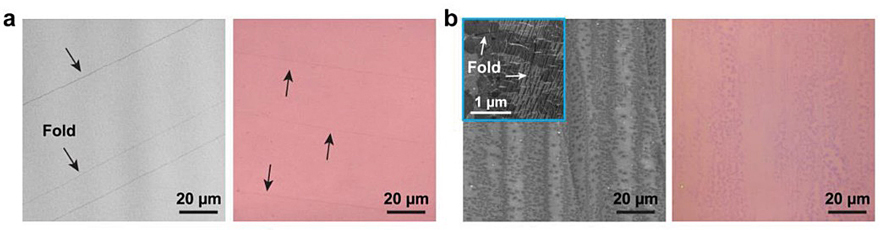 Nature：控温，就可生长大面积高质量单层石墨烯