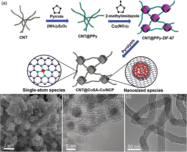 碳材料持续高温，且看四位院士（范守善，刘忠范，成会明，张锦）如何“把玩”前沿研究