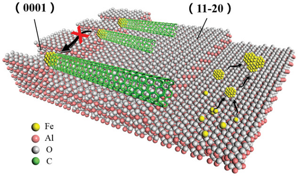 碳材料持续高温，且看四位院士（范守善，刘忠范，成会明，张锦）如何“把玩”前沿研究