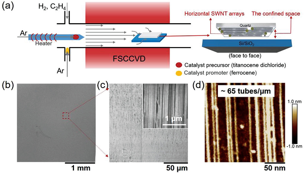 碳材料持续高温，且看四位院士（范守善，刘忠范，成会明，张锦）如何“把玩”前沿研究