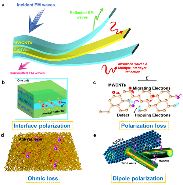 中科院煤化所陈成猛团队J.Mater.Chem.A：用于超宽频电磁屏蔽的多壁碳纳米管/银纳米线薄膜
