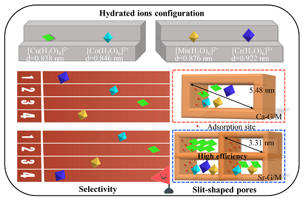 渤海大学鄂涛副教授J Hazard Mater：发现调控氧化石墨烯和蒙脱土纳米片层堆叠的狭缝间距可实现高效选择性去除Cu(Ⅱ)