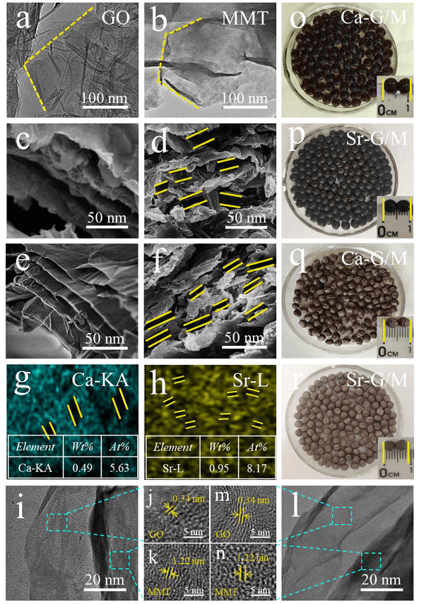 渤海大学鄂涛副教授J Hazard Mater：发现调控氧化石墨烯和蒙脱土纳米片层堆叠的狭缝间距可实现高效选择性去除Cu(Ⅱ)