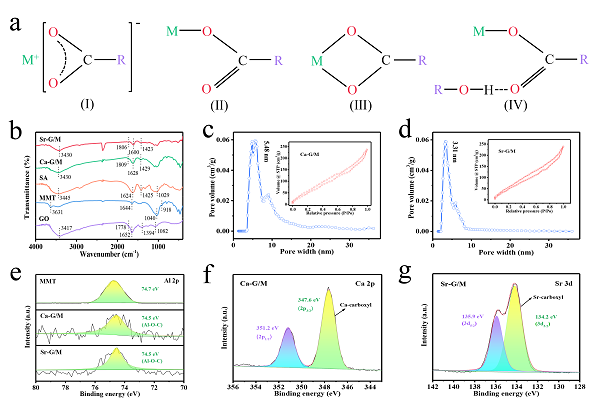 渤海大学鄂涛副教授J Hazard Mater：发现调控氧化石墨烯和蒙脱土纳米片层堆叠的狭缝间距可实现高效选择性去除Cu(Ⅱ)