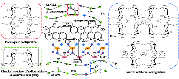 渤海大学鄂涛副教授J Hazard Mater：发现调控氧化石墨烯和蒙脱土纳米片层堆叠的狭缝间距可实现高效选择性去除Cu(Ⅱ)