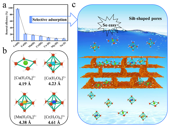 渤海大学鄂涛副教授J Hazard Mater：发现调控氧化石墨烯和蒙脱土纳米片层堆叠的狭缝间距可实现高效选择性去除Cu(Ⅱ)