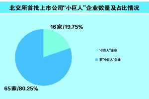 数读北交所首批公司 专精特新成色十足