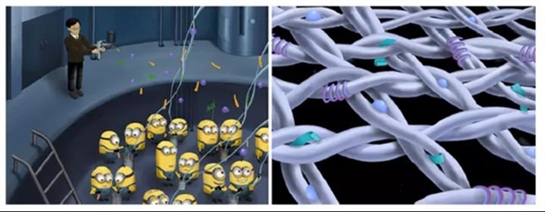 西湖笔记 | 都说不唯论文，那我们发表论文是为了什么