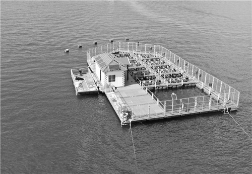 海里“捞”铀为核电纾困